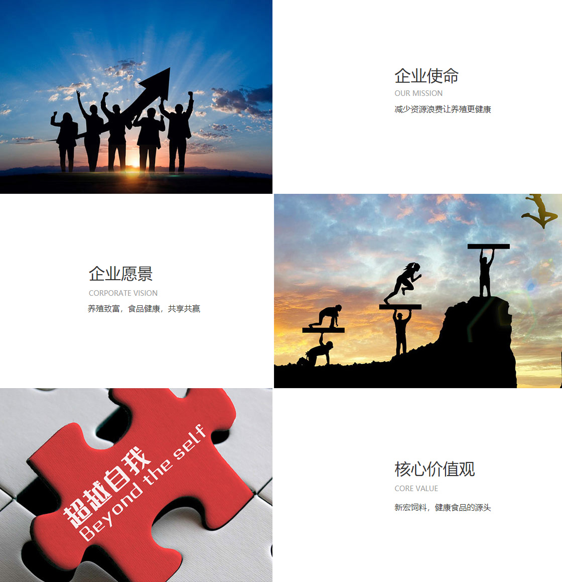 研发理念(图1)