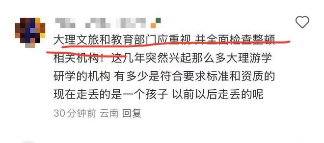 自闭症男童夏令营走失近百小时妈妈崩溃康复核心被指(图5)