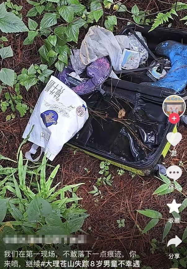 苍山8岁男童遇难：离走失点仅一公里被发现在河中无衣物现场细节刺痛人心(图14)