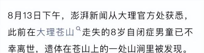 自闭症男童遇难生前衣服脱光疑失温山地搜救艰难终发现(图3)