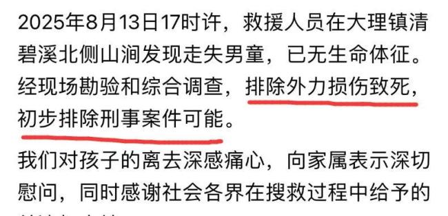 自闭症男童遇难生前衣服脱光疑失温山地搜救艰难终发现(图4)