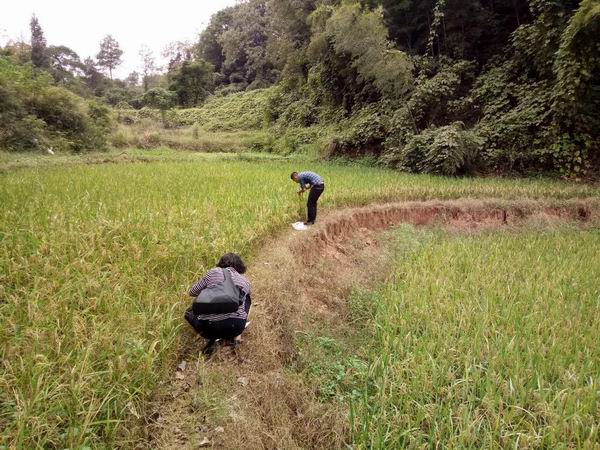 中美卫星导航用户数量悬殊：GPS用户数超60亿中国北斗令人意外(图1)