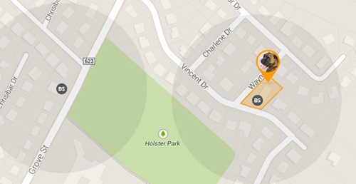 Findster定位器：让心爱的TA不再走丢(图3)