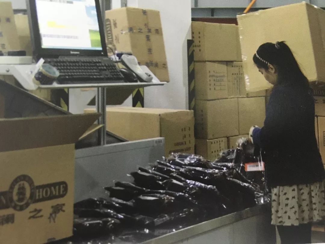 2026年中国衣架行业的价值重塑与未来展望(图1)