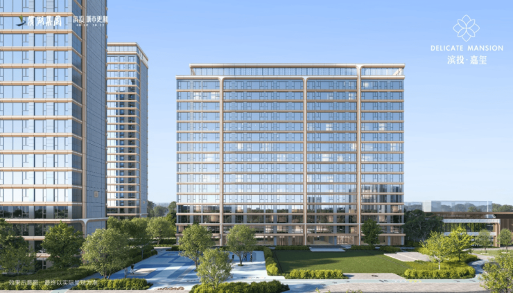 合肥滨投嘉玺最新动态揭秘!官方开发商电话、最新购房政策及在售户型面积(图3)