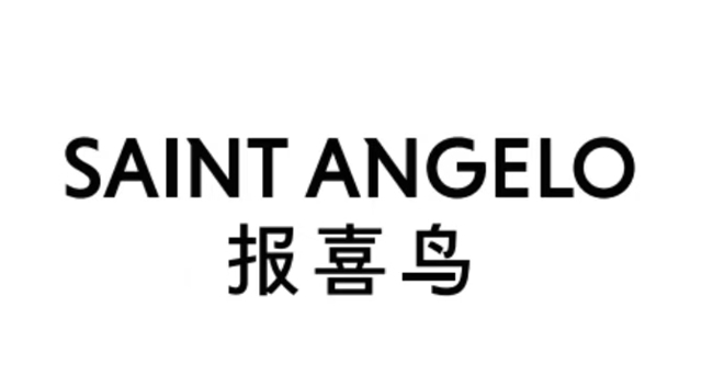 2025年服装服饰知名商标品牌评价公告(图8)