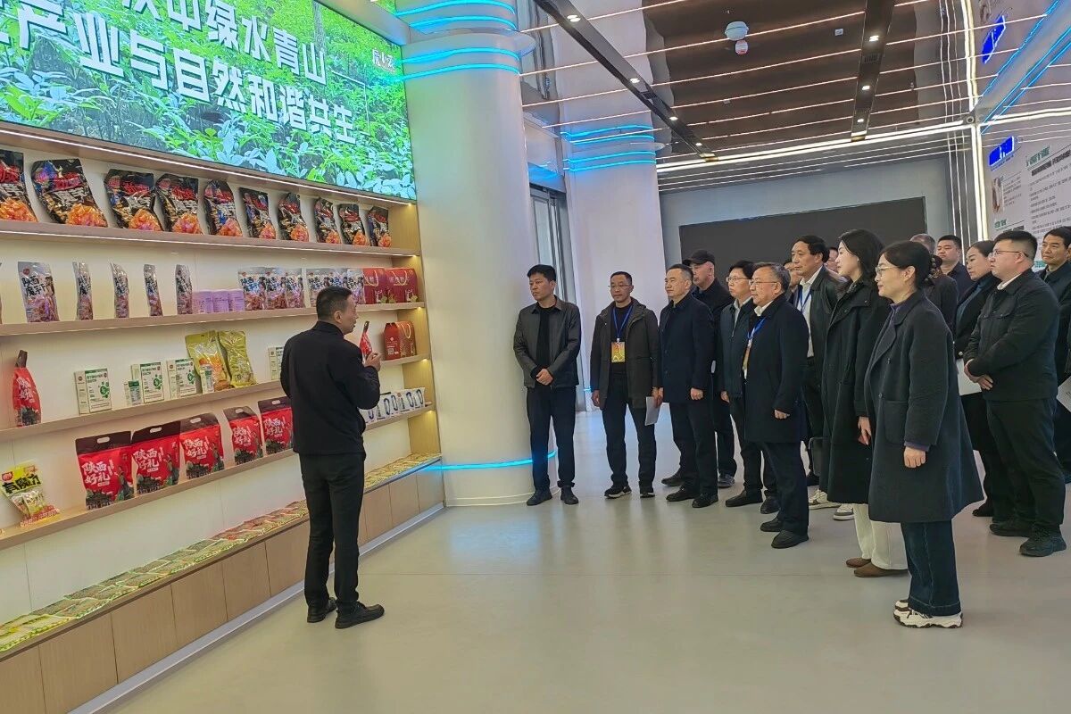 佛坪县选出的市人大代表到汉台区开展跨区域集中视察(图1)