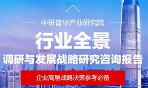 发展策略_中研普华行业研究网(图14)