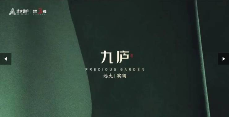 合肥远大九庐售楼处直销首页网站2026合肥房价-楼盘评测-地址-详情-售楼处电话-交房时间(图5)