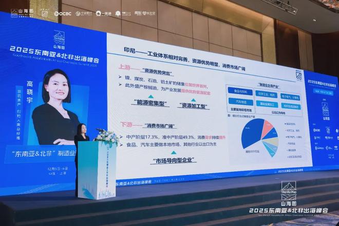 2025东南亚北非出海峰会成功举办3000家企业同聚一堂共话出海新机遇(图6)