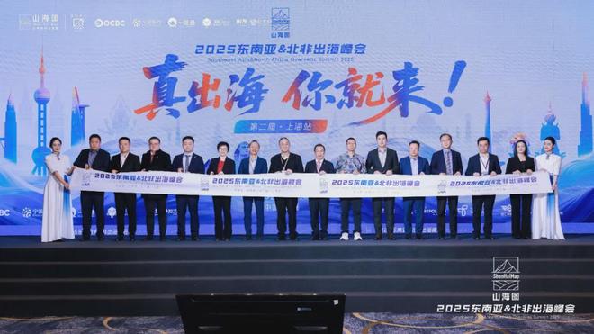 2025东南亚北非出海峰会成功举办3000家企业同聚一堂共话出海新机遇(图1)