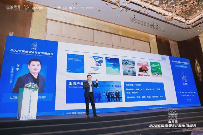 2025东南亚北非出海峰会成功举办3000家企业同聚一堂共话出海新机遇(图3)