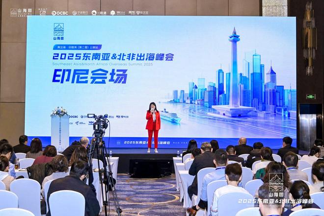 2025东南亚北非出海峰会成功举办3000家企业同聚一堂共话出海新机遇(图9)