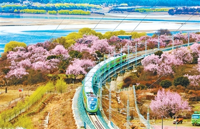 这些工程“美得像AI”（这不是AI这是实景·交通篇）(图4)